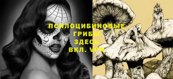 прущий лед Балахна